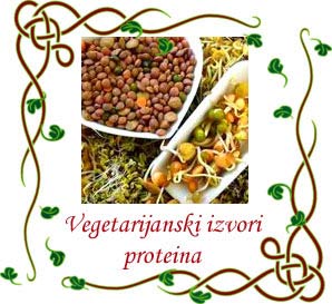 Vegetarijanski izvori proteina