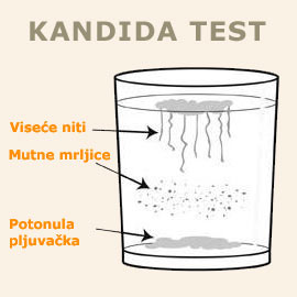 Kandida test